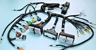 Wiring Harnesses & Connectors 